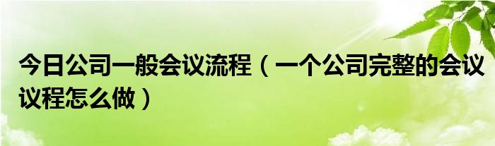 今日公司一般会议流程（一个公司完整的会议议程怎么做）