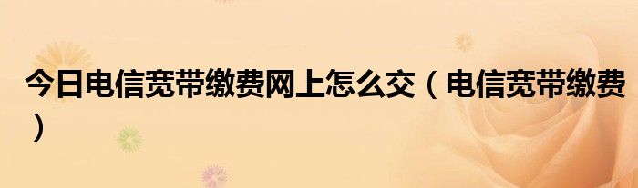 今日电信宽带缴费网上怎么交（电信宽带缴费）