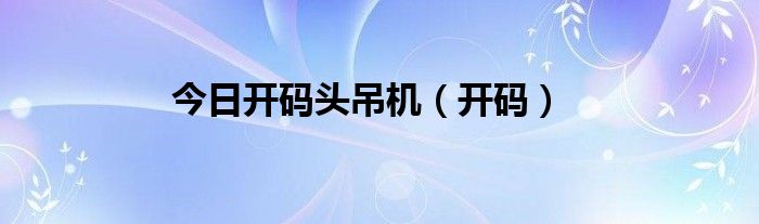 今日开码头吊机（开码）