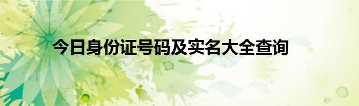 今日身份证号码及实名大全查询