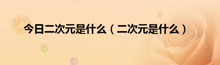 今日二次元是什么（二次元是什么）
