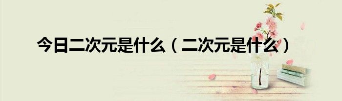 今日二次元是什么（二次元是什么）