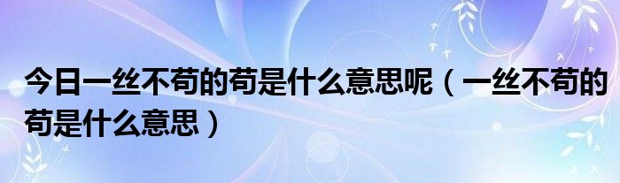 优雅的一丝不苟什么意思的图像