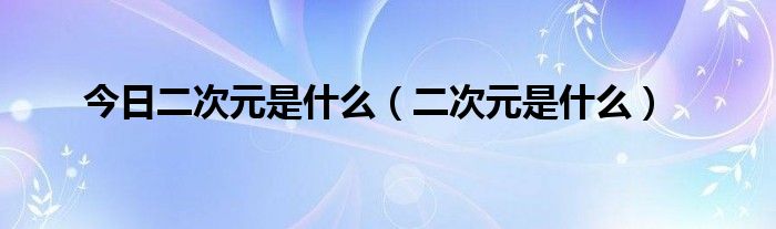 今日二次元是什么（二次元是什么）