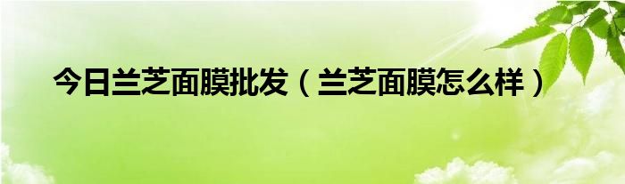 今日兰芝面膜批发（兰芝面膜怎么样）