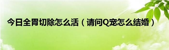 今日全胃切除怎么活（请问Q宠怎么结婚）