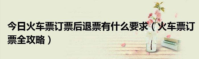 今日火车票订票后退票有什么要求（火车票订票全攻略）