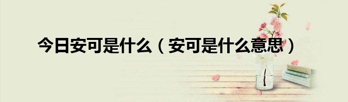 今日安可是什么（安可是什么意思）