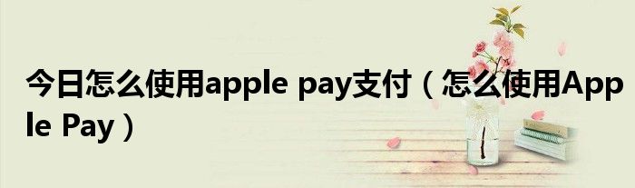 今日怎么使用apple pay支付（怎么使用Apple Pay）
