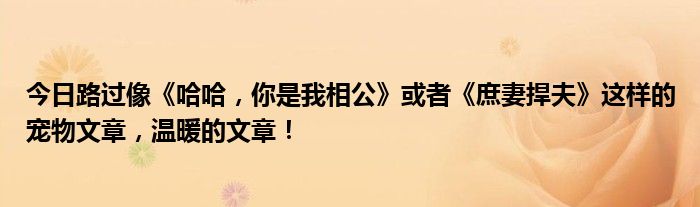 今日路过像《哈哈，你是我相公》或者《庶妻捍夫》这样的宠物文章，温暖的文章！