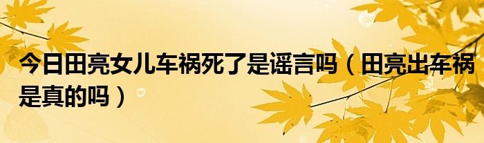今日田亮女儿车祸死了是谣言吗（田亮出车祸是真的吗）
