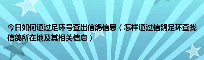 今日如何通过足环号查出信鸽信息（怎样通过信鸽足环查找信鸽所在地及其相关信息）