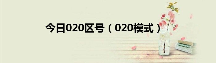 今日020区号（020模式）