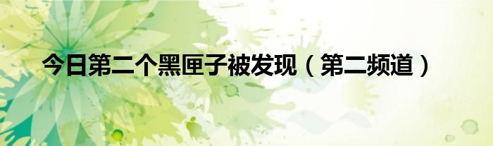 今日第二个黑匣子被发现（第二频道）