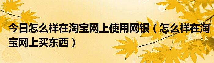 今日怎么样在淘宝网上使用网银（怎么样在淘宝网上买东西）