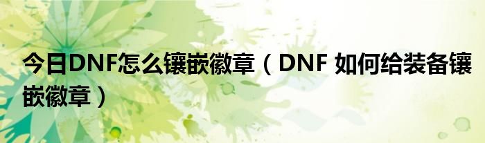 今日DNF怎么镶嵌徽章（DNF 如何给装备镶嵌徽章）