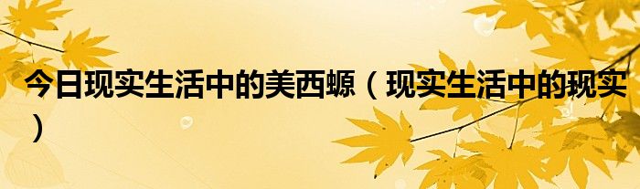 今日现实生活中的美西螈（现实生活中的现实）