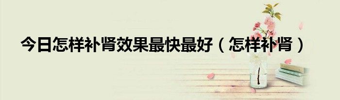 今日怎样补肾效果最快最好（怎样补肾）