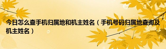 今日怎么查手机归属地和机主姓名（手机号码归属地查询及机主姓名）