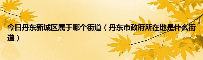 今日丹东新城区属于哪个街道（丹东市政府所在地是什么街道）