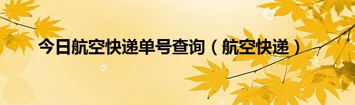 今日航空快递单号查询（航空快递）