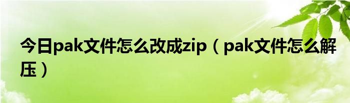今日pak文件怎么改成zip（pak文件怎么解压）