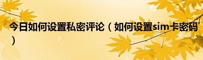 今日如何设置私密评论（如何设置sim卡密码）