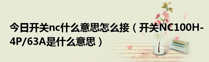 今日开关nc什么意思怎么接（开关NC100H-4P/63A是什么意思）
