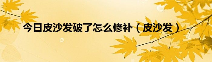 今日皮沙发破了怎么修补（皮沙发）