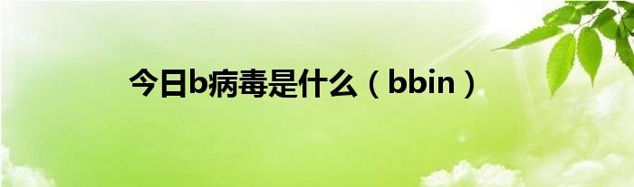 今日b病毒是什么（bbin）