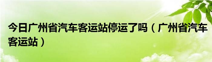 今日广州省汽车客运站停运了吗（广州省汽车客运站）
