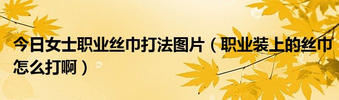 今日女士职业丝巾打法图片（职业装上的丝巾怎么打啊）