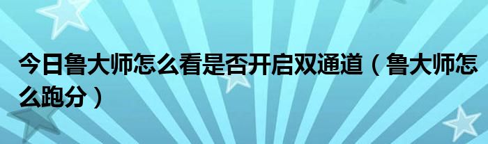 今日鲁大师怎么看是否开启双通道（鲁大师怎么跑分）