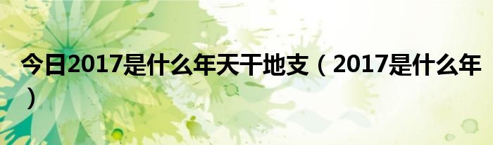 今日2017是什么年天干地支（2017是什么年）