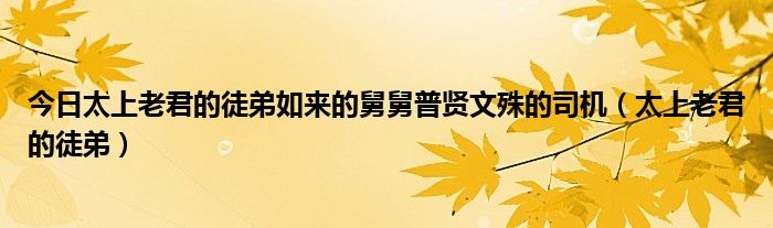 今日太上老君的徒弟如来的舅舅普贤文殊的司机（太上老君的徒弟）