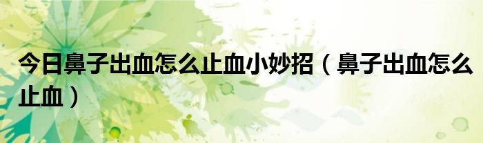 今日鼻子出血怎么止血小妙招（鼻子出血怎么止血）