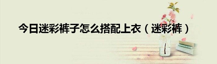 今日迷彩裤子怎么搭配上衣（迷彩裤）
