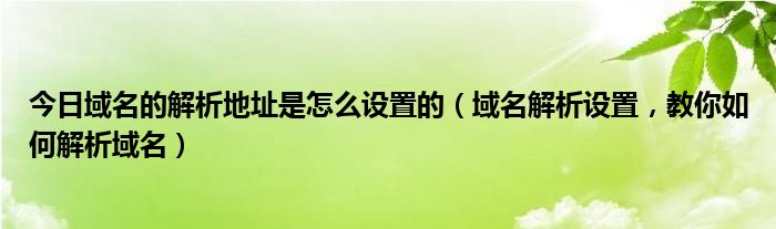 今日域名的解析地址是怎么设置的（域名解析设置，教你如何解析域名）