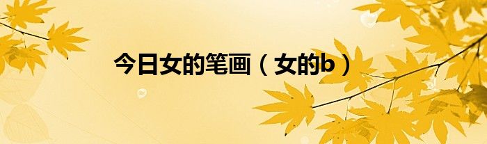 今日女的笔画（女的b）