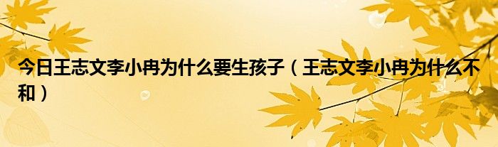 今日王志文李小冉为什么要生孩子（王志文李小冉为什么不和）