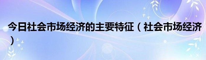 今日社会市场经济的主要特征（社会市场经济）