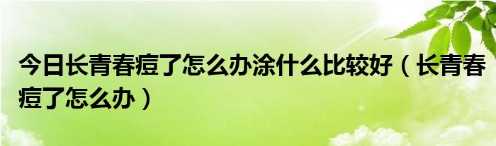 今日长青春痘了怎么办涂什么比较好（长青春痘了怎么办）