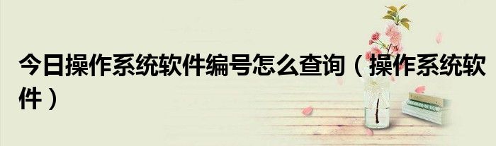 今日操作系统软件编号怎么查询（操作系统软件）
