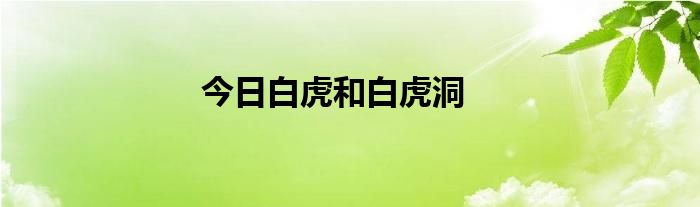 今日白虎和白虎洞