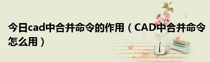 今日cad中合并命令的作用（CAD中合并命令怎么用）