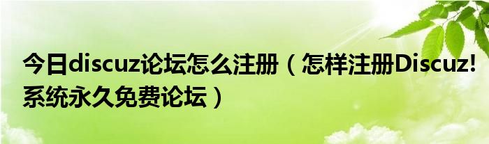 今日discuz论坛怎么注册（怎样注册Discuz!系统永久免费论坛）