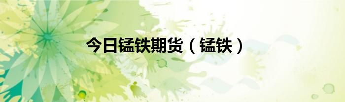 今日锰铁期货（锰铁）