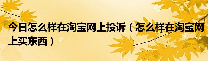 今日怎么样在淘宝网上投诉（怎么样在淘宝网上买东西）