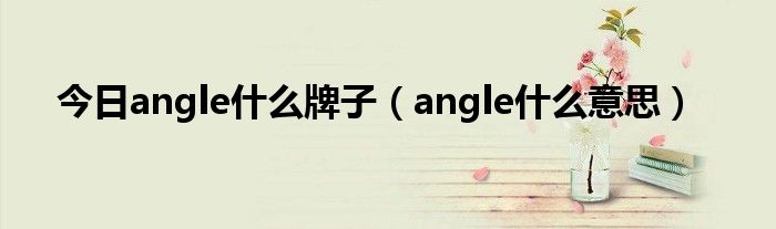 今日angle什么牌子（angle什么意思）