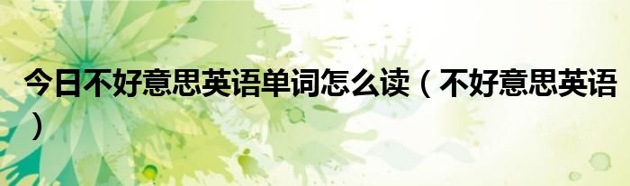 今日不好意思英语单词怎么读（不好意思英语）